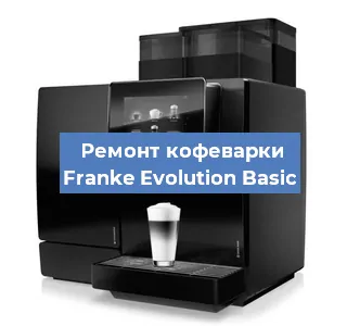 Декальцинация   кофемашины Franke Evolution Basic в Самаре